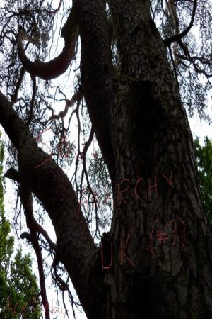 Tempest – K Ibura