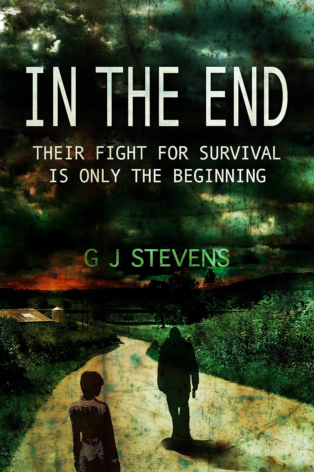In The End - G J Stevens
