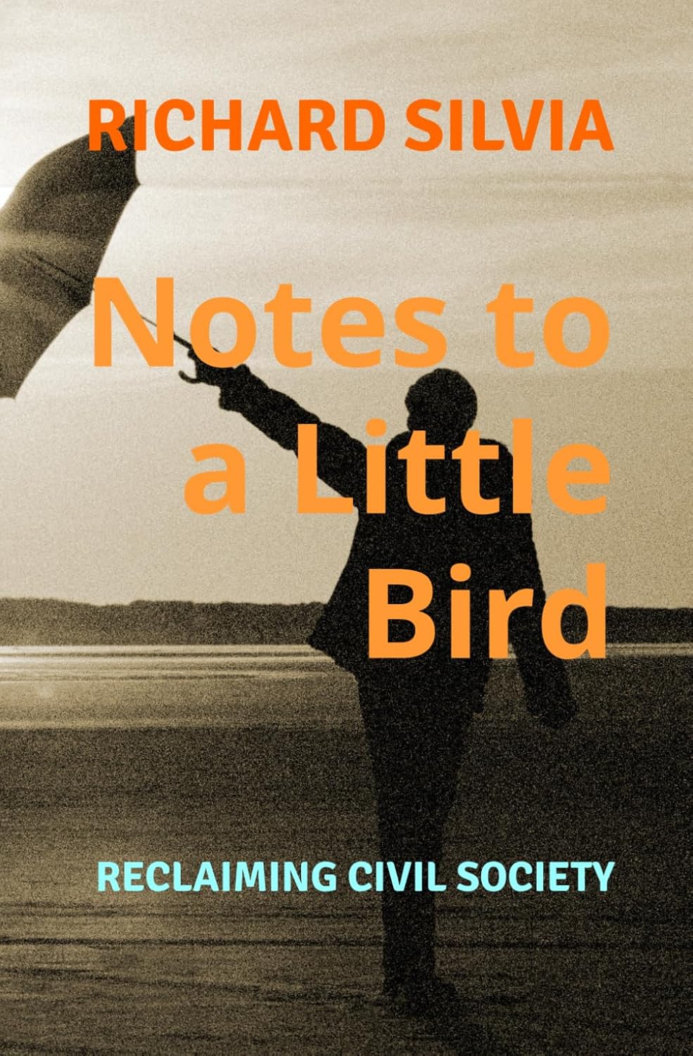Notes to a Little Bird - Richard Silvia