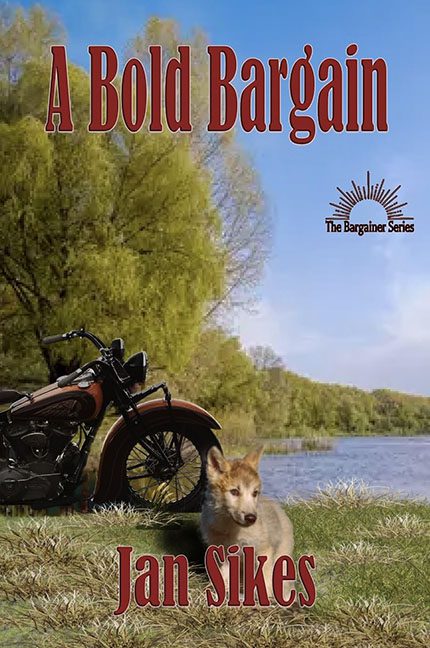 A Bold Bargain – Jan Sikes