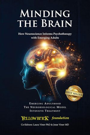 Minding the Brain – Yellowbrick Foundation