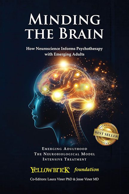 Minding the Brain – Yellowbrick Foundation